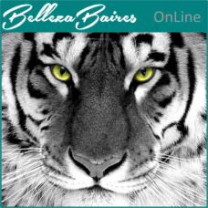 Empoderamiento del Tigre Blanco: Despierta tu Luz Interior