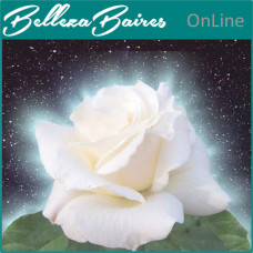 Curso Online de Sanación Holística con Rosas: Flores de Amor y Equilibrio Energético