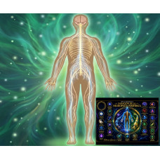 Mesa Radiónica de Sanación para la Neuropatía Periférica: Curso Online de Reequilibrio Energético y Regeneración Nerviosa