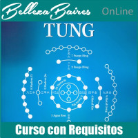 Curso Online de Master en Auriculoterapia TUNG - CON REQUISITOS Curso Online de Master en Auriculoterapia TUNG - CON REQUISITOS
